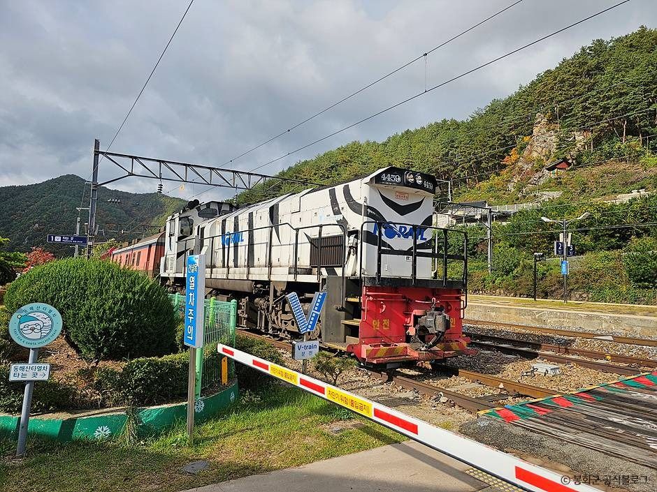 태백_백두대간협곡열차(V-트레인) (8)