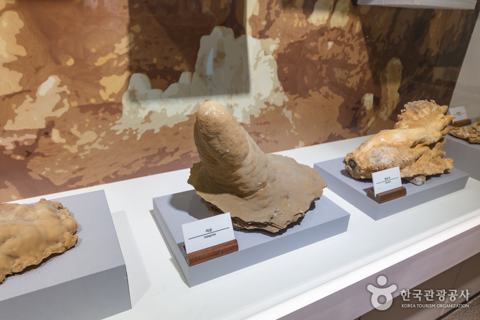 백룡동굴 (강원고생대 국가지질공원) 3