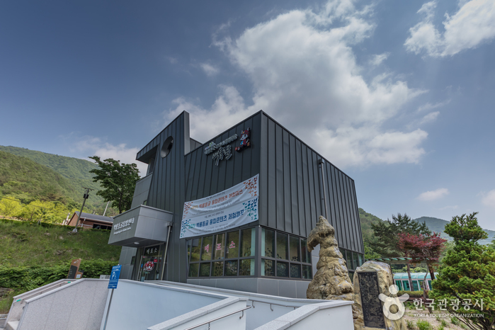 백룡동굴 (강원고생대 국가지질공원) 6