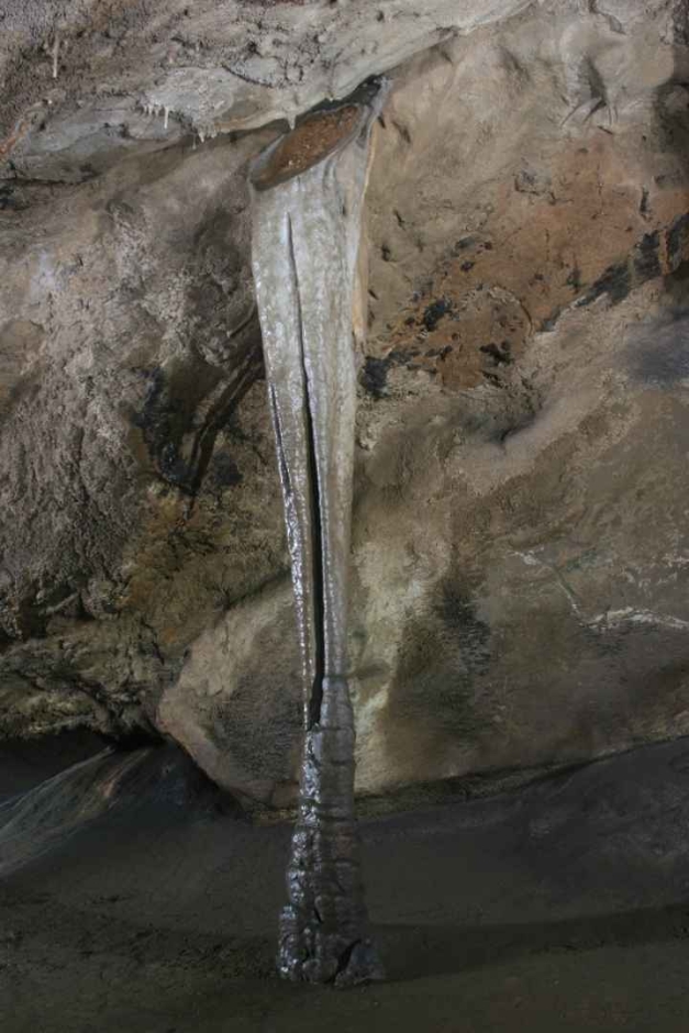 평창_백룡동굴생태체험학습장 (4)