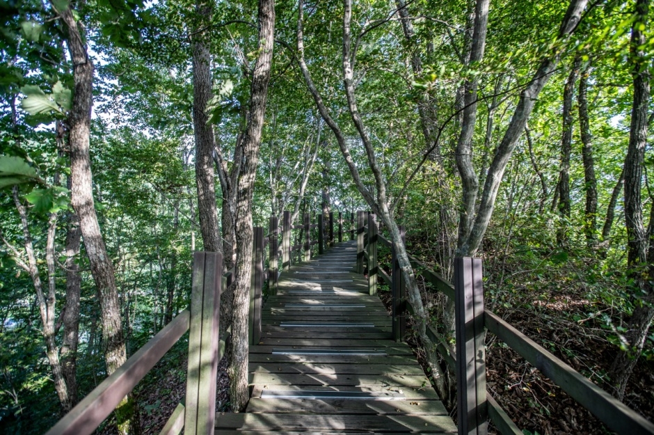 정선 병방치 스카이워크_8