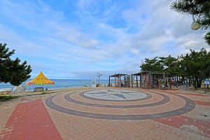 강릉 안목해맞이공원