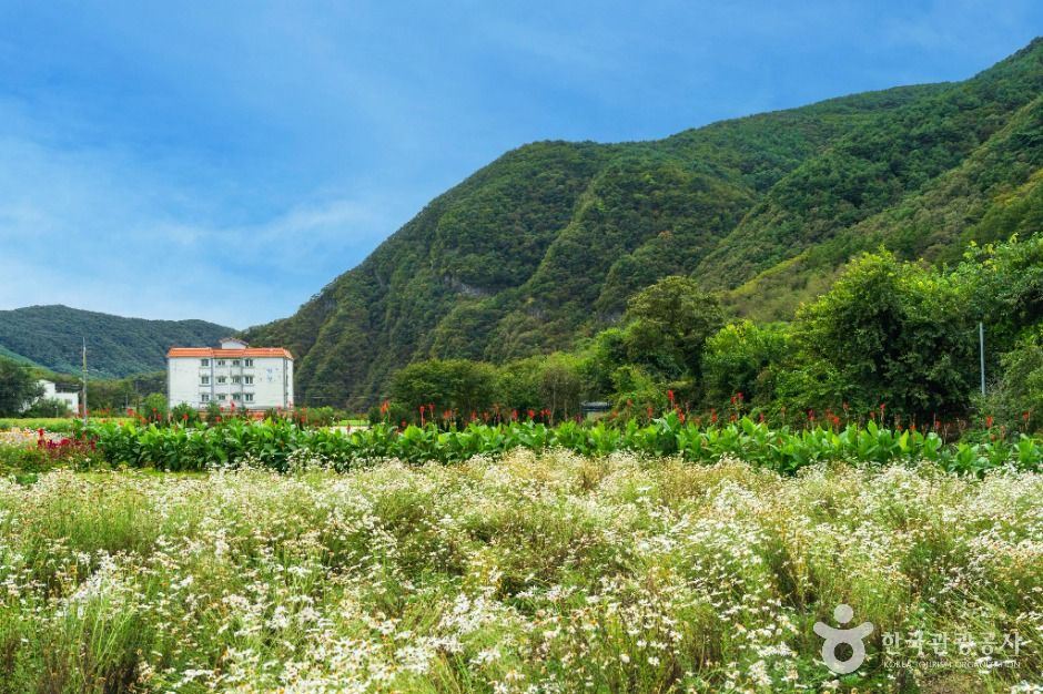 영월_봉래산(영월) (5)