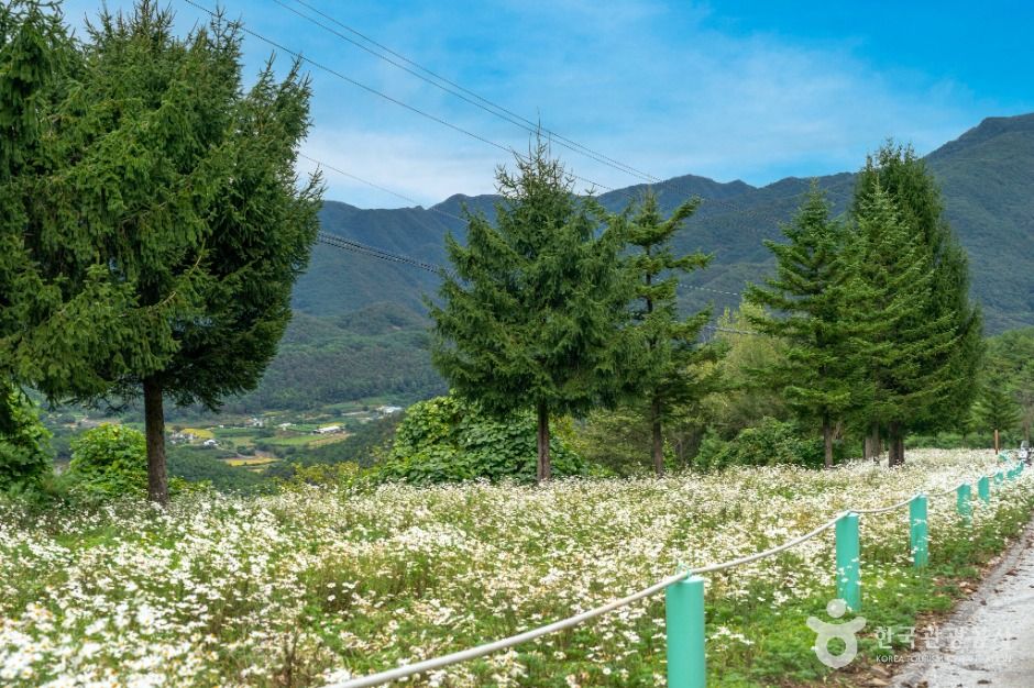 영월_봉래산(영월) (6)