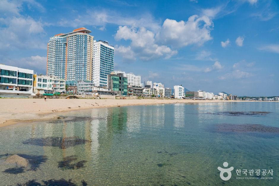 고성_봉포해변 (3)