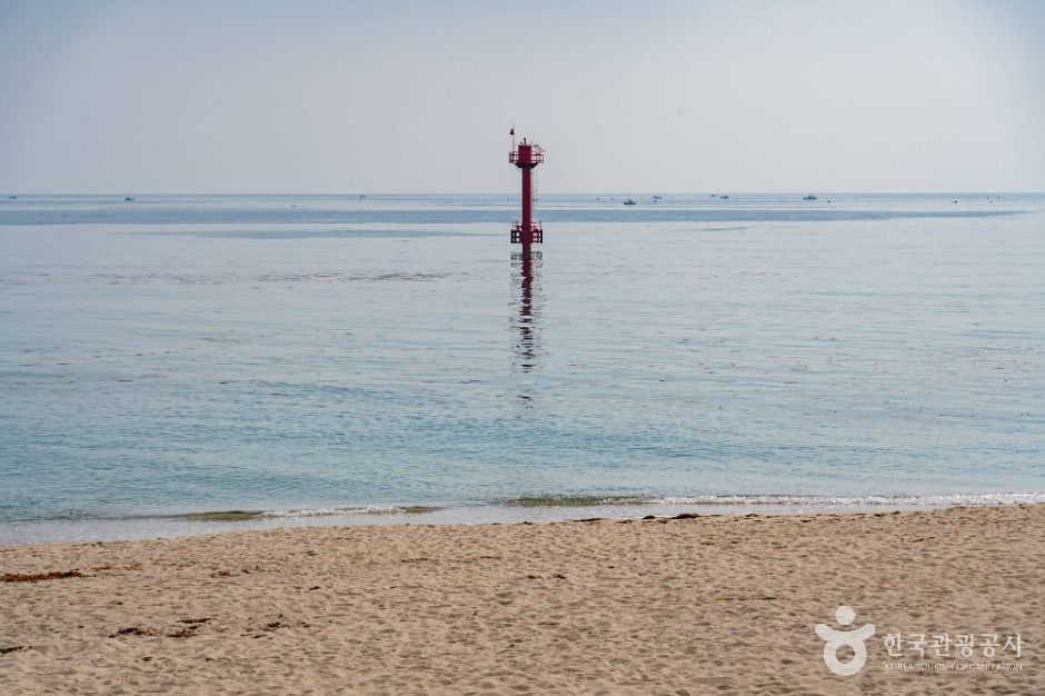 고성_봉포해변 (6)