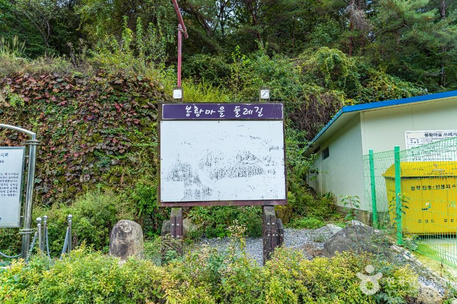 평창_봉황둘레길 (1)