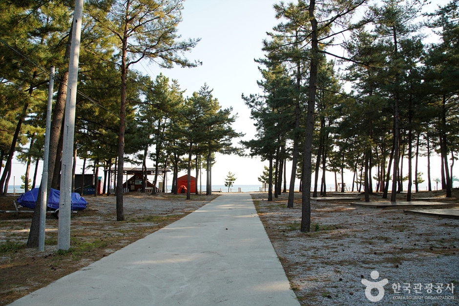 북분리해수욕장 (3)