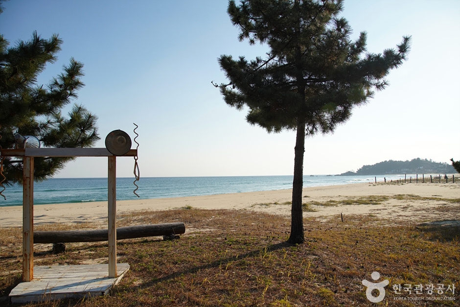 북분리해수욕장 (4)