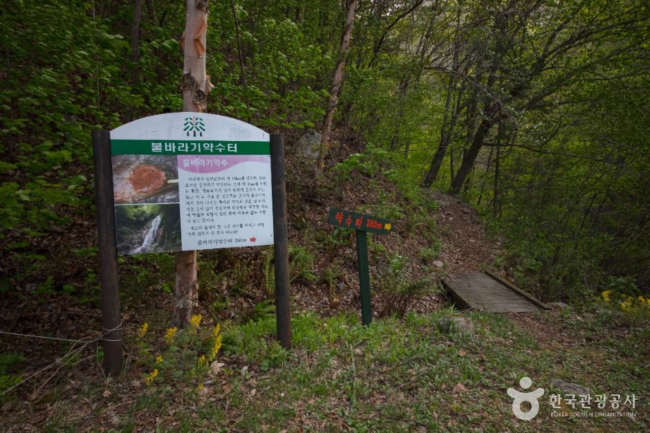 양양_불바라기약수터 (3)