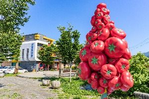 토마토조각공원