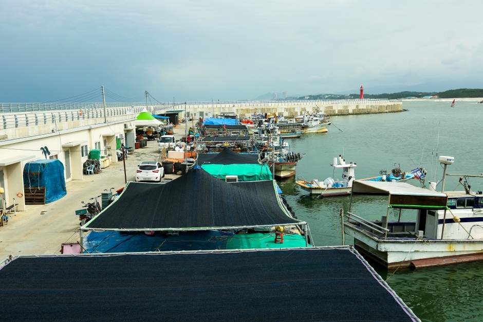 사천진항_2