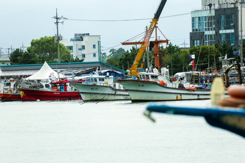 사천진항_3