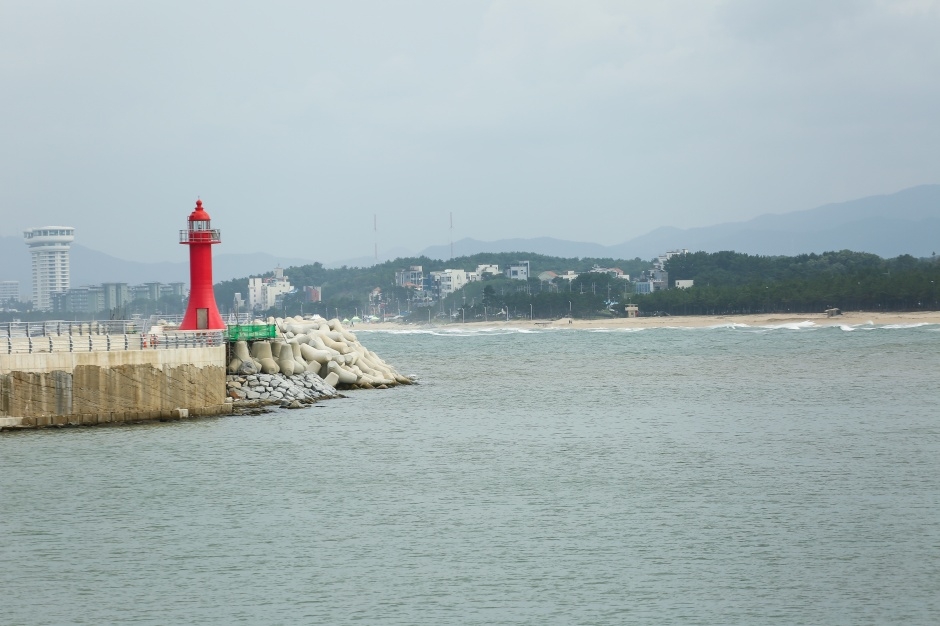 사천진항_7