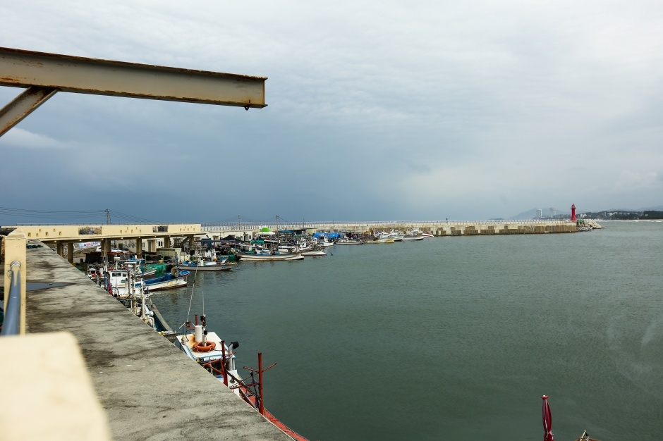 사천진항_8