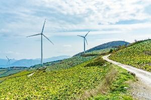 매봉산풍력발전단지(바람의 언덕)