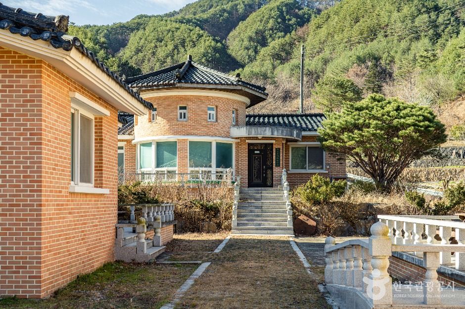 삼척_삼척 가시오가피마을 (4)