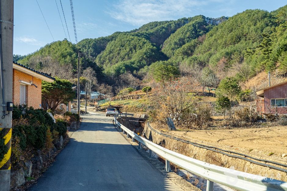 삼척_삼척 가시오가피마을 (1)