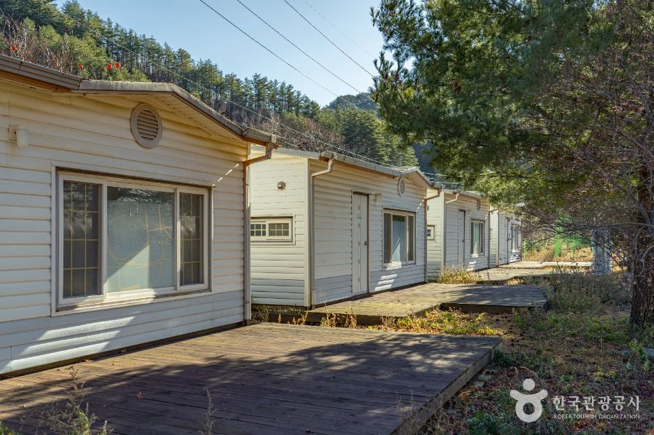 삼척_삼척 가시오가피마을 (2)