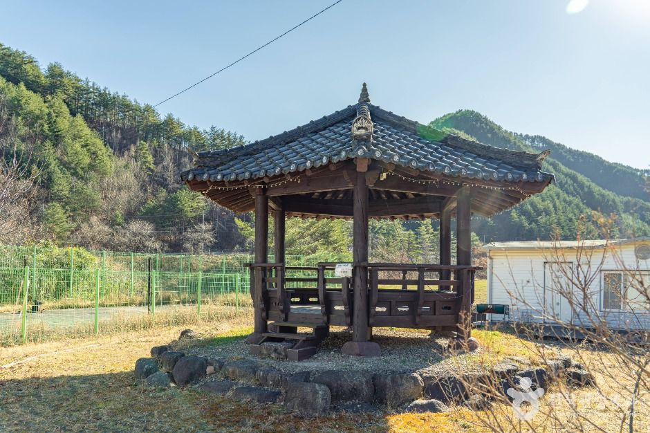 삼척_삼척 가시오가피마을 (3)