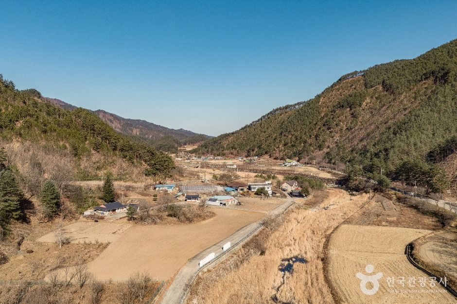 삼척_삼척 가시오가피마을 (10)