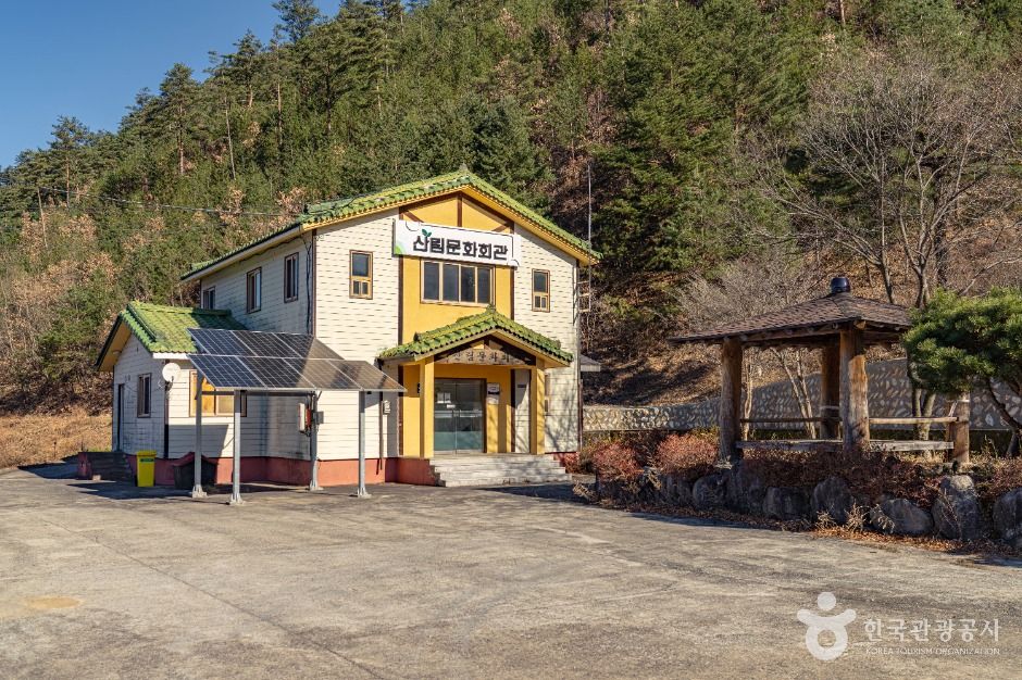 삼척_삼척 가시오가피마을 (7)