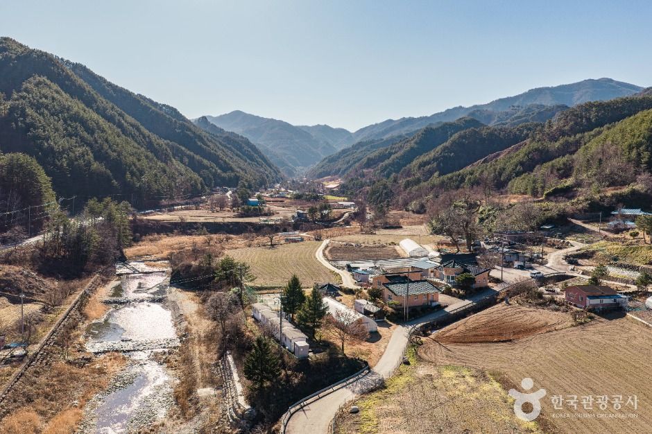 삼척_삼척 가시오가피마을 (8)