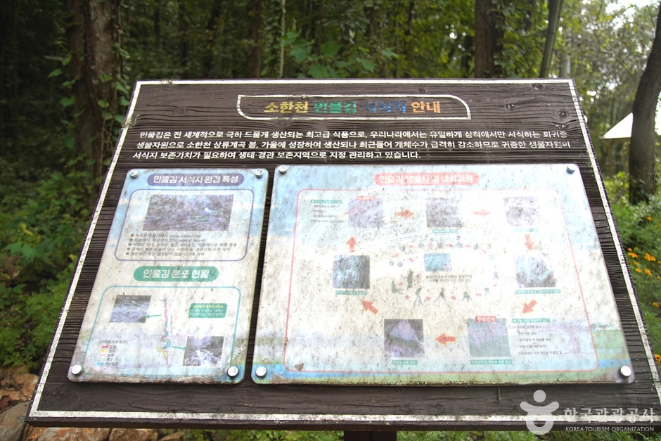 삼척초당굴 (10)