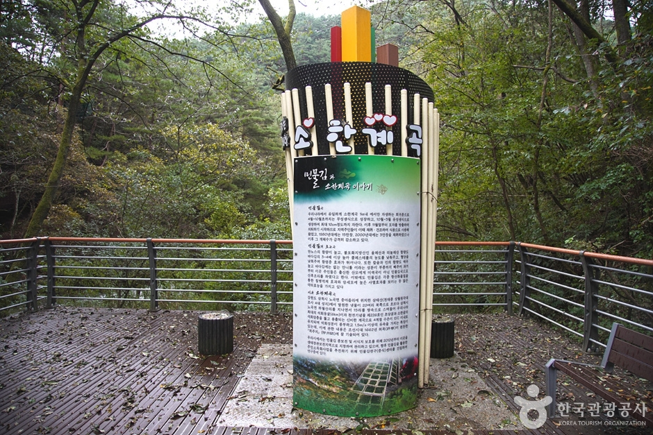 삼척초당굴 (14)