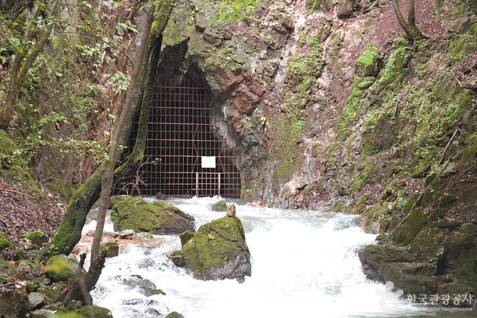 삼척초당굴 (19)