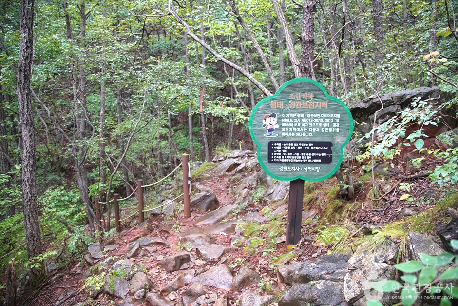 삼척초당굴 (21)