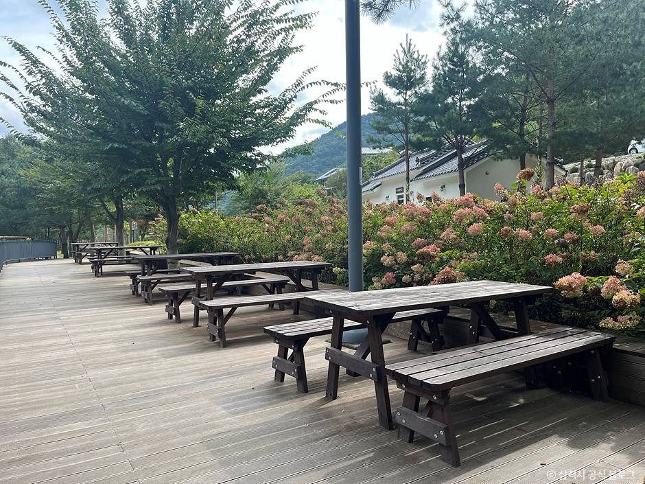 삼척_삼척 활기 치유의 숲 (1)