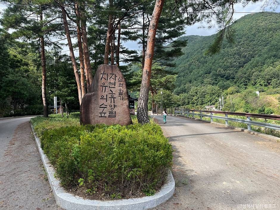 삼척_삼척 활기 치유의 숲 (14)