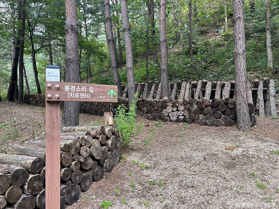 삼척_삼척 활기 치유의 숲 (13)