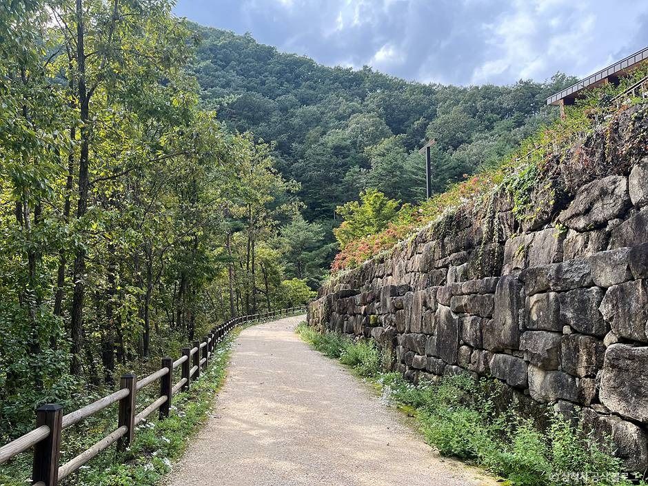 삼척_삼척 활기 치유의 숲 (12)