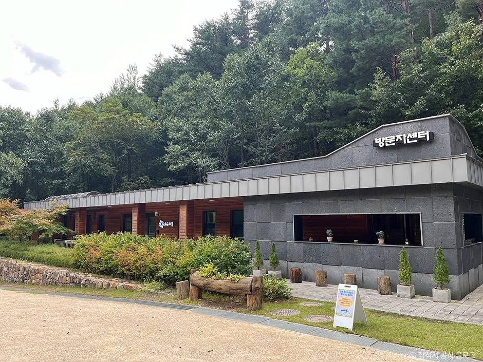 삼척_삼척 활기 치유의 숲 (7)