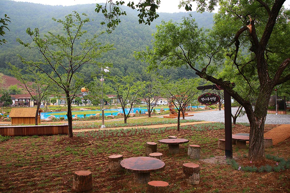 강원도_삼척시_미로장원_전경 (3)