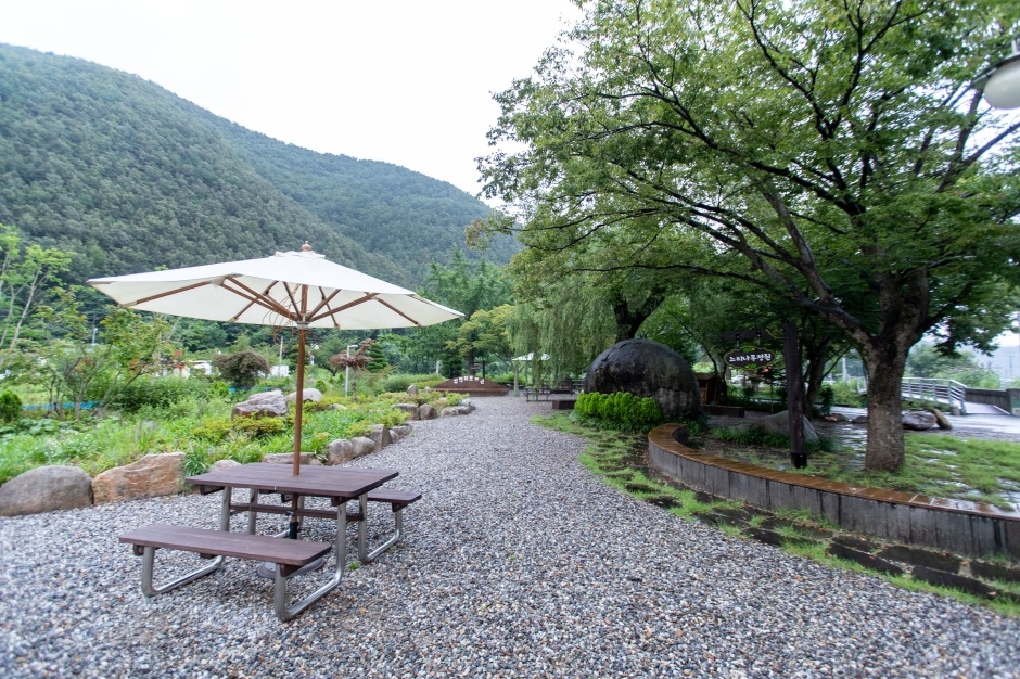 삼척 미로(未老)정원_3