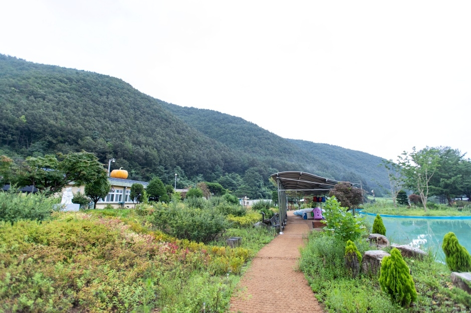 삼척 미로(未老)정원_10