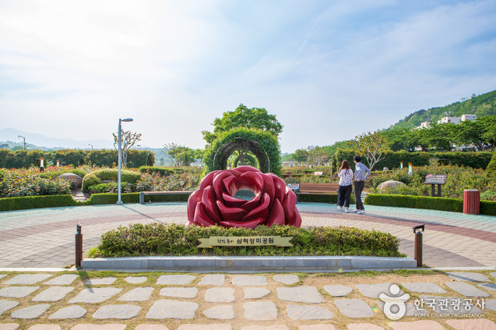 삼척 장미공원