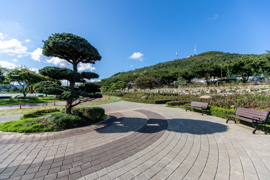 삼척 장미공원_5