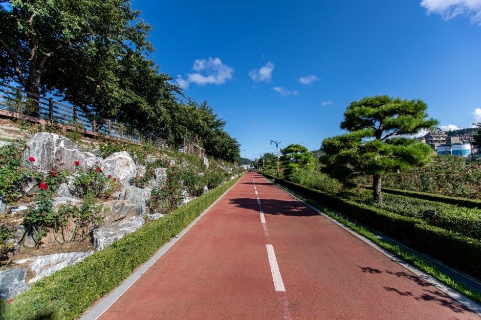 삼척 장미공원_8