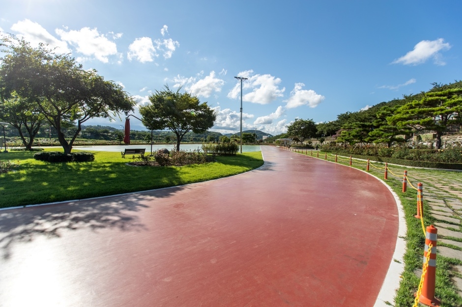 삼척 장미공원_9