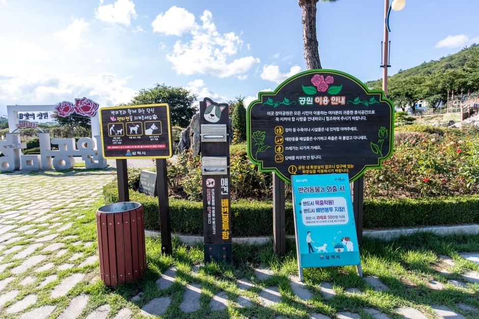 삼척 장미공원_10