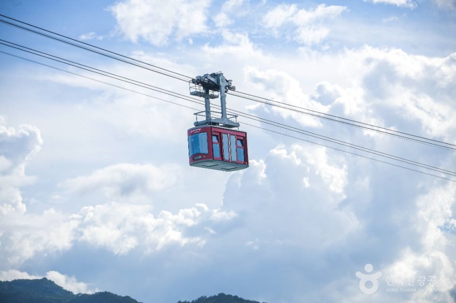 삼척 해상케이블카 (5)