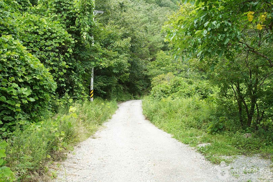 상정바위산 (05)