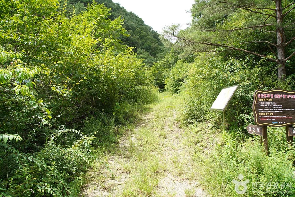 상정바위산 (07)