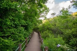 물무리골생태습지