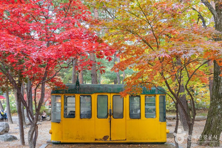 속초_설악산 케이블카 (6)