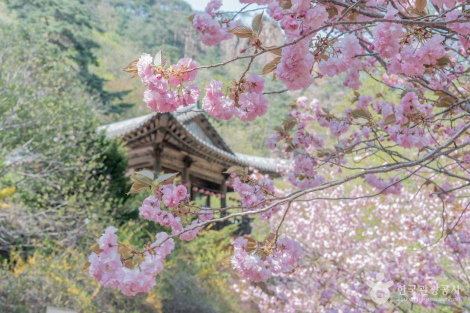 설악산국립공원